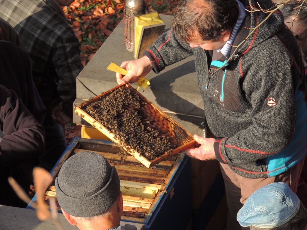 Rozebrané včelstvo v Eurodadantu 15. listopadu 2014